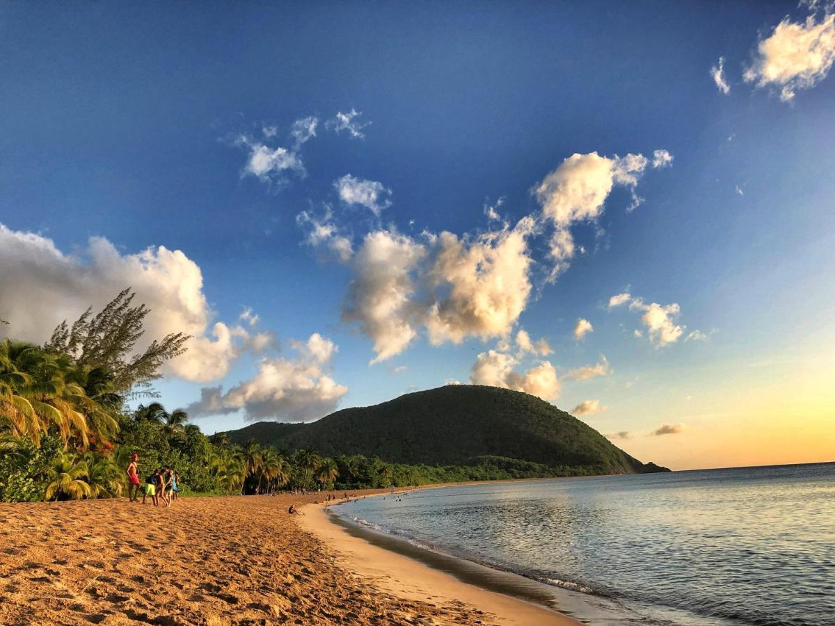 Le Surf Lodge, Chambre Avec Vue Mer Dans Un Ecrin De Verdure Десе Екстер'єр фото