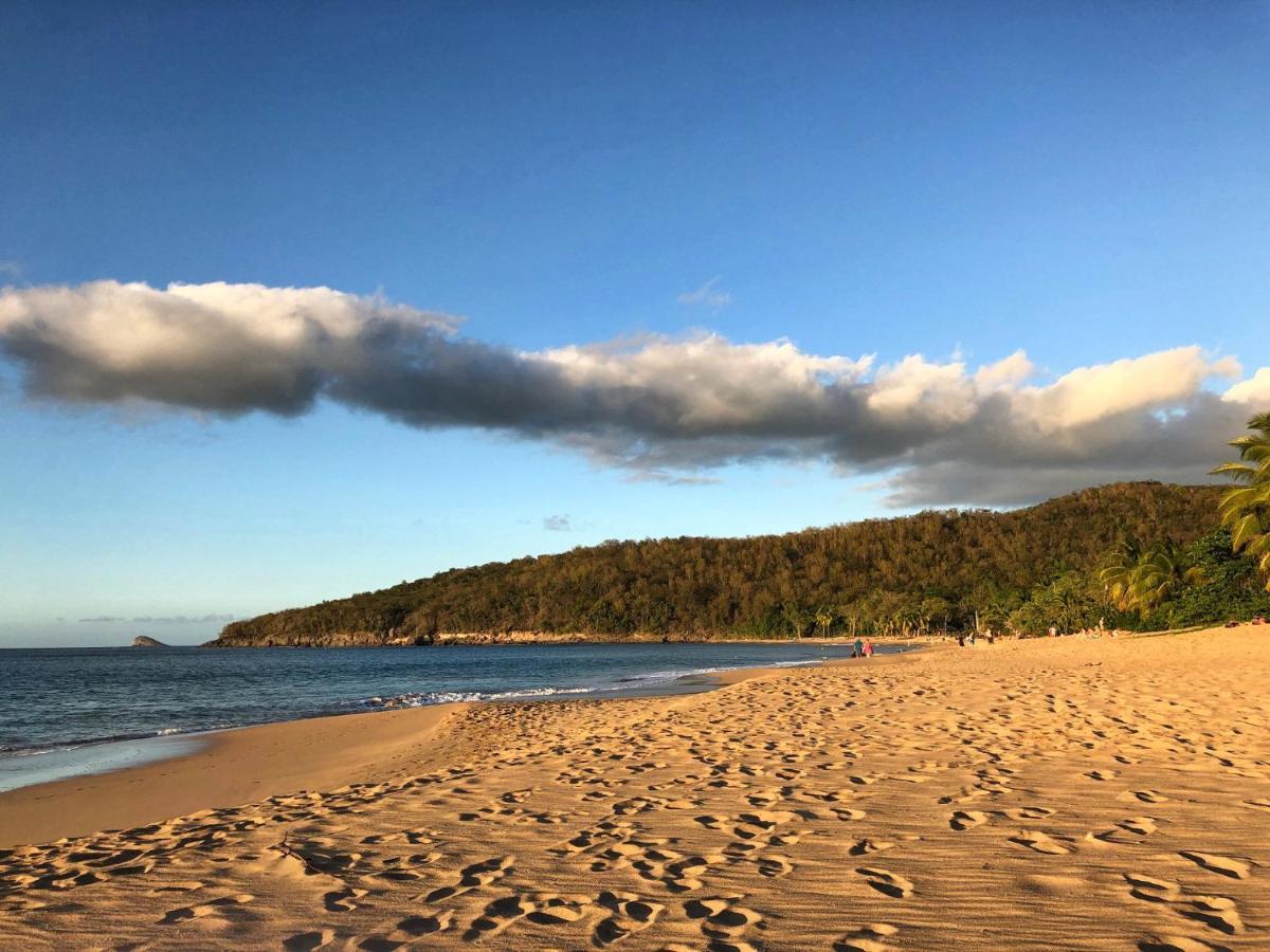 Le Surf Lodge, Chambre Avec Vue Mer Dans Un Ecrin De Verdure Десе Екстер'єр фото