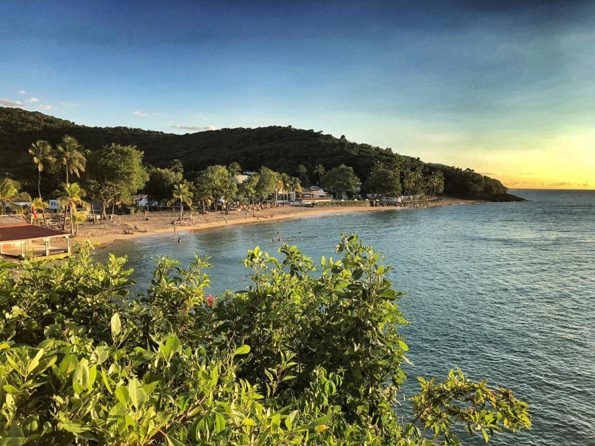 Le Surf Lodge, Chambre Avec Vue Mer Dans Un Ecrin De Verdure Десе Екстер'єр фото